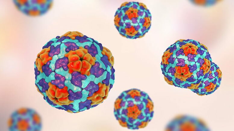 Hepatitis outbreak alarms NC health officials
