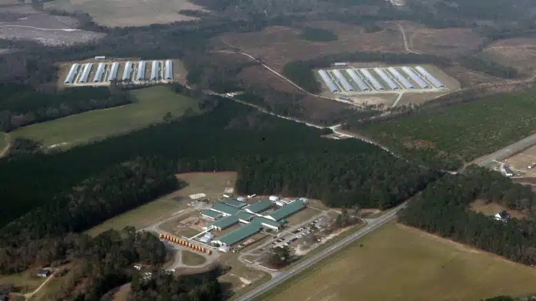 Environmentalists rely on volunteer pilot program to monitor CAFOs
