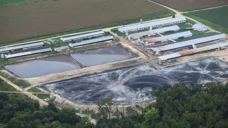 Wayne County wetland continues to suffer: Farm with massive hog waste spill nets new violations amid bacteria concerns