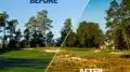 Teeing off for sustainability: Pinehurst showcases eco-friendly golf.